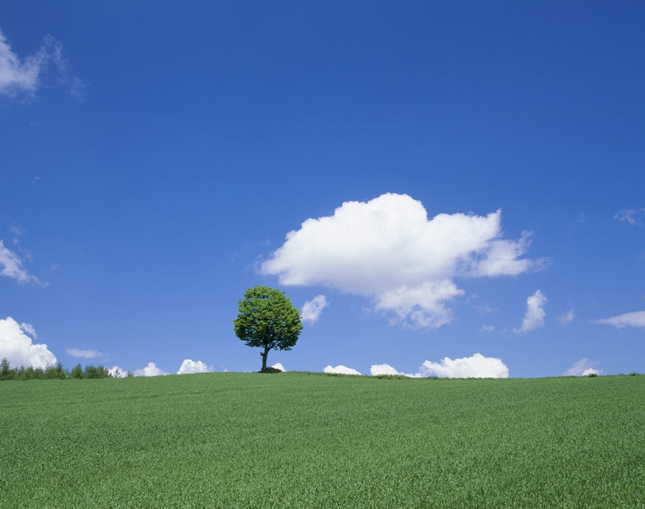 �Љ���@�l�˂̗�top